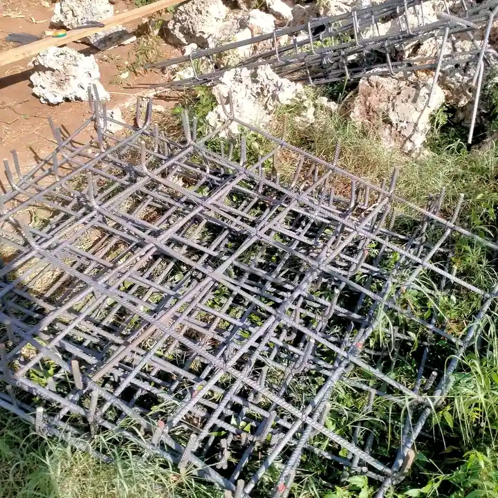 ONE-STOREY MANSION DEVELOPMENT (KANTAFU SITE)